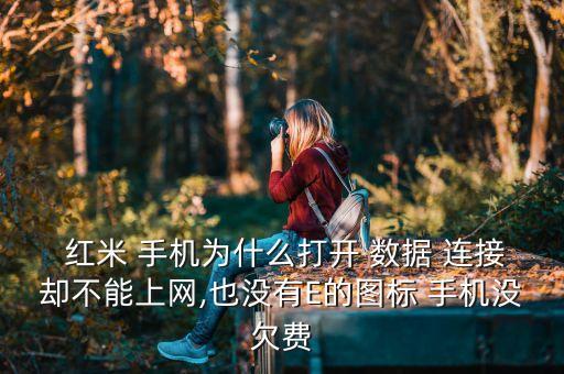  紅米 手機(jī)為什么打開(kāi) 數(shù)據(jù) 連接卻不能上網(wǎng),也沒(méi)有E的圖標(biāo) 手機(jī)沒(méi)欠費(fèi)
