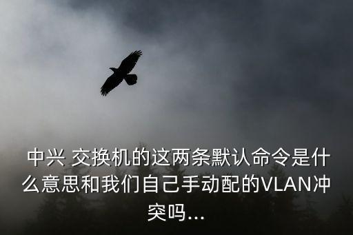 中興交換機V5數(shù)據(jù)