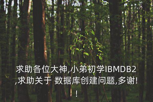 求助各位大神,小弟初學(xué)IBMDB2,求助關(guān)于 數(shù)據(jù)庫(kù)創(chuàng)建問(wèn)題,多謝!!