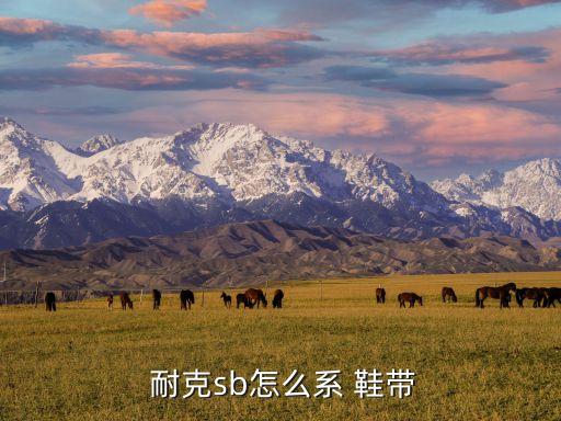 耐克自動(dòng)系鞋帶讀后感,第二種耐克sb系列鞋帶教程: