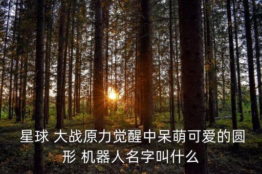  星球 大戰(zhàn)原力覺醒中呆萌可愛的圓形 機器人名字叫什么