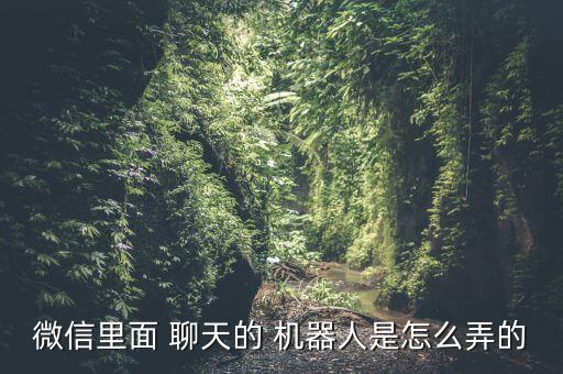 微信里面 聊天的 機器人是怎么弄的