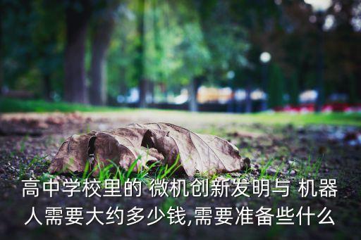 高中學(xué)校里的 微機創(chuàng)新發(fā)明與 機器人需要大約多少錢,需要準備些什么