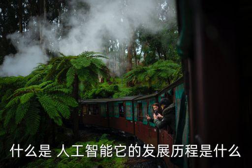 什么是 人工智能它的發(fā)展歷程是什么