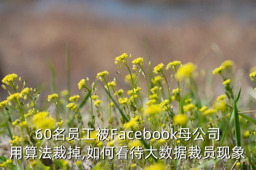 60名員工被Facebook母公司用算法裁掉,如何看待大數(shù)據(jù)裁員現(xiàn)象