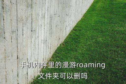  手機內(nèi)存里的漫游roaming 文件夾可以刪嗎