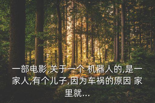一部電影,關(guān)于一個(gè) 機(jī)器人的,是一家人,有個(gè)兒子,因?yàn)檐嚨湹脑?家里就...
