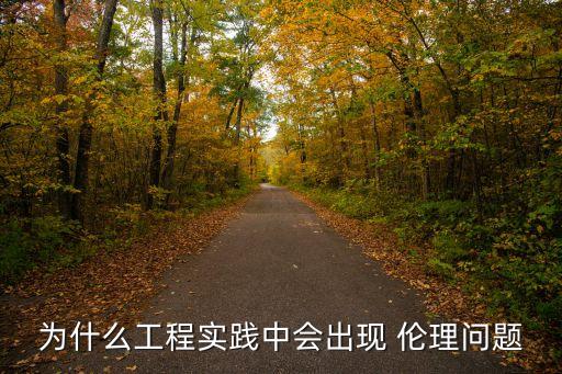 為什么工程實(shí)踐中會(huì)出現(xiàn) 倫理問題