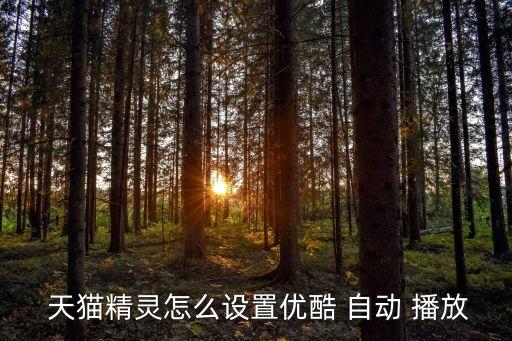  天貓精靈怎么設(shè)置優(yōu)酷 自動(dòng) 播放