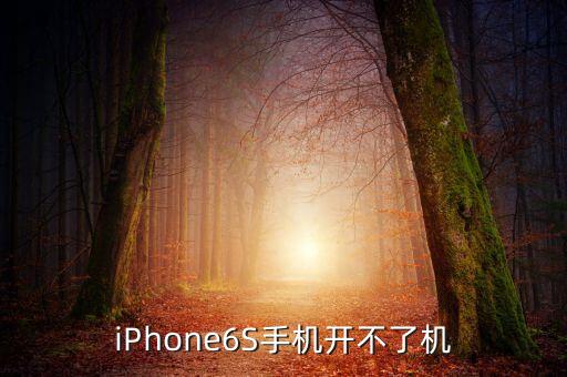 iPhone6S手機(jī)開不了機(jī)