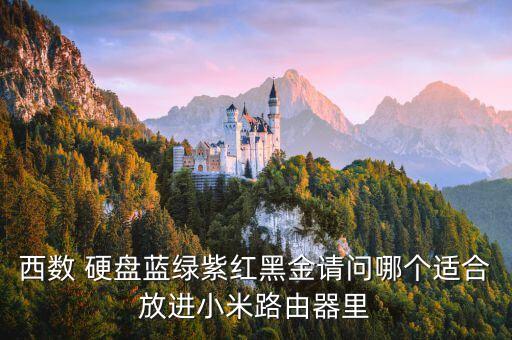 西數(shù) 硬盤(pán)藍(lán)綠紫紅黑金請(qǐng)問(wèn)哪個(gè)適合放進(jìn)小米路由器里