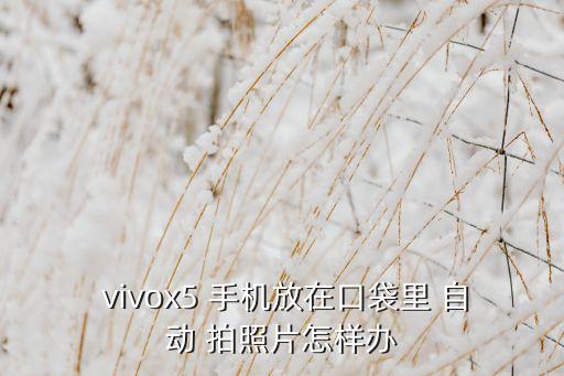  vivox5 手機放在口袋里 自動 拍照片怎樣辦