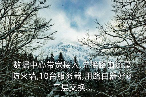  數(shù)據(jù)中心帶寬接入,先接路由還是 防火墻,10臺服務器,用路由器好還三層交換...