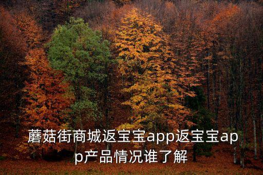  蘑菇街商城返寶寶app返寶寶app產(chǎn)品情況誰了解