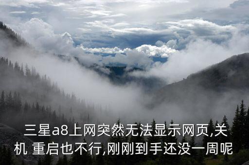  三星a8上網(wǎng)突然無法顯示網(wǎng)頁,關(guān)機 重啟也不行,剛剛到手還沒一周呢