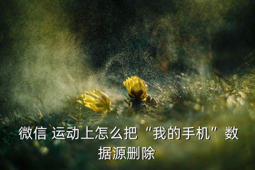  微信 運動上怎么把“我的手機(jī)”數(shù)據(jù)源刪除