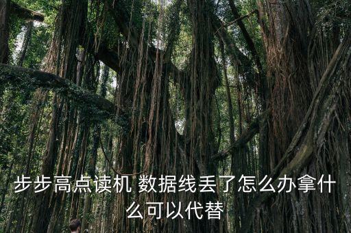步步高點讀機 數(shù)據(jù)線丟了怎么辦拿什么可以代替
