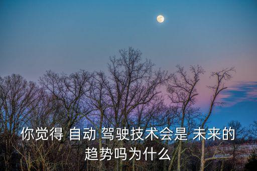 自動駕駛 駕照 未來,未來自動駕駛汽車可能會越來越普及