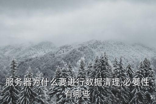 服務(wù)器為什么要進(jìn)行數(shù)據(jù)清理,必要性有哪些