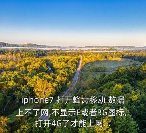 蘋(píng)果手機(jī)打開(kāi)移動(dòng)數(shù)據(jù)