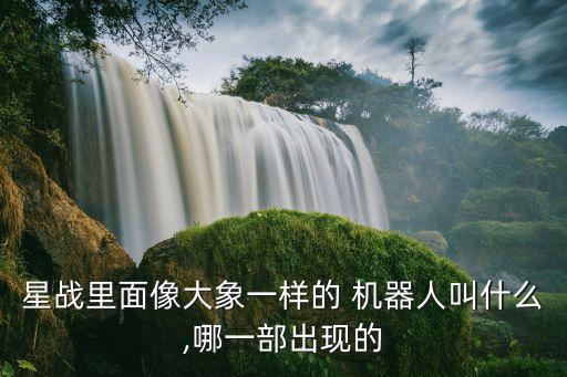 星球大戰(zhàn)金色的機(jī)器人