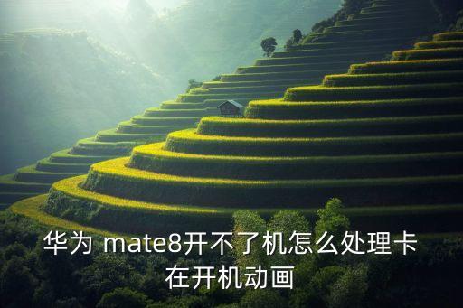華為 mate8開(kāi)不了機(jī)怎么處理卡在開(kāi)機(jī)動(dòng)畫(huà)