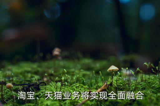  淘寶、天貓業(yè)務(wù)將實(shí)現(xiàn)全面融合