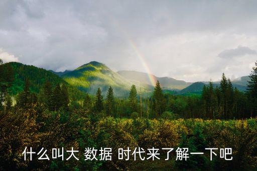 什么叫大 數(shù)據(jù) 時(shí)代來了解一下吧