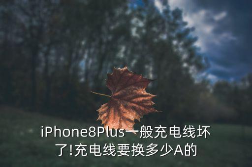 蘋果充電器的數(shù)據(jù)線多少錢一根