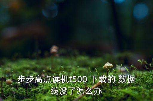 步步高點讀機t500 下載的 數(shù)據(jù)線沒了怎么辦