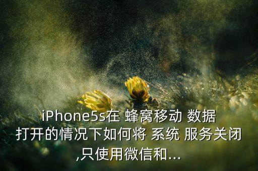 蜂窩數(shù)據(jù) 系統(tǒng)服務(wù),不在蜂窩系統(tǒng)服務(wù)區(qū)內(nèi)