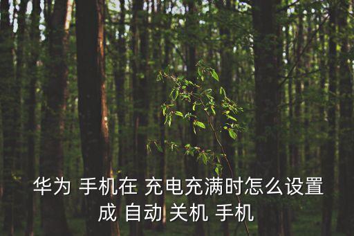  華為 手機(jī)在 充電充滿時(shí)怎么設(shè)置成 自動(dòng) 關(guān)機(jī) 手機(jī)
