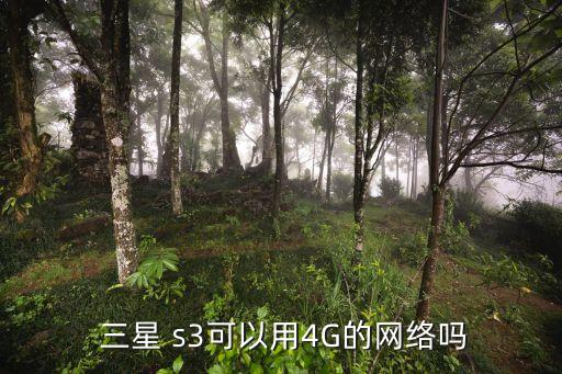  三星 s3可以用4G的網(wǎng)絡嗎
