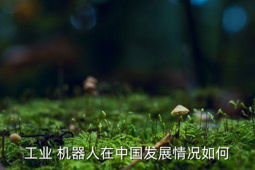 跟隨機(jī)器人現(xiàn)狀,自動(dòng)跟隨機(jī)器人的意義
