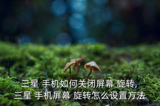  三星 手機(jī)如何關(guān)閉屏幕 旋轉(zhuǎn), 三星 手機(jī)屏幕 旋轉(zhuǎn)怎么設(shè)置方法