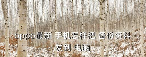 oppo最新 手機怎樣把 備份資料發(fā)到 電腦