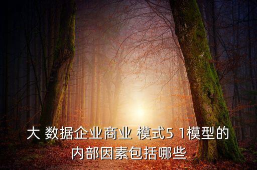 大 數(shù)據(jù)企業(yè)商業(yè) 模式5 1模型的內(nèi)部因素包括哪些