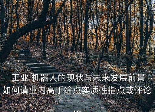  工業(yè) 機(jī)器人的現(xiàn)狀與未來發(fā)展前景如何請業(yè)內(nèi)高手給點實質(zhì)性指點或評論...