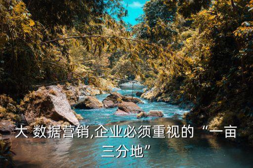 大 數(shù)據(jù)營銷,企業(yè)必須重視的“一畝三分地”