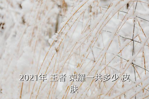 2021年 王者 榮耀一共多少 皮膚