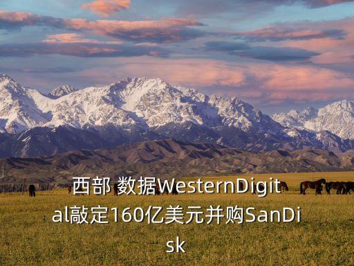 西部 數(shù)據(jù)WesternDigital敲定160億美元并購SanDisk