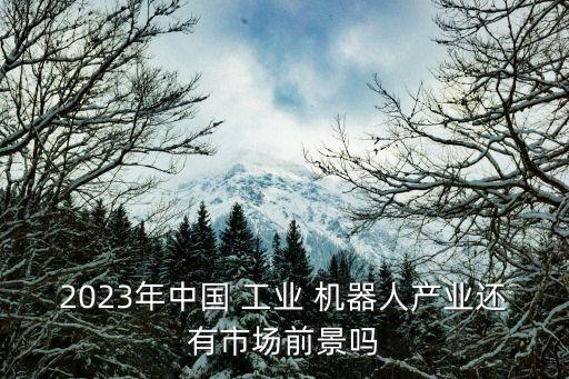 2023年中國 工業(yè) 機器人產(chǎn)業(yè)還有市場前景嗎