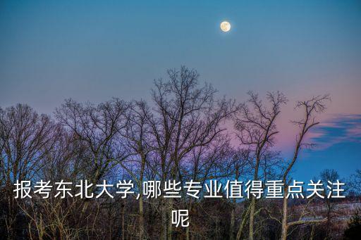 報(bào)考東北大學(xué),哪些專(zhuān)業(yè)值得重點(diǎn)關(guān)注呢