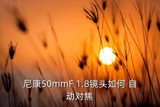 50 1.8自動(dòng)對(duì)焦,手動(dòng)對(duì)焦機(jī)器或許需要一段時(shí)間來學(xué)習(xí)