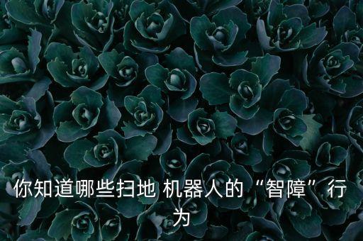 你知道哪些掃地 機(jī)器人的“智障”行為