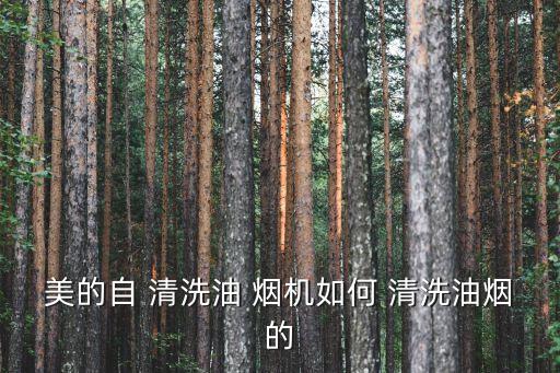 美的煙機怎么自動清洗,美的煙機智能干洗手段即洗不拆