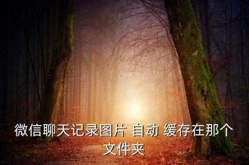微信聊天記錄圖片 自動(dòng) 緩存在那個(gè)文件夾