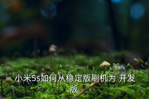  小米5s如何從穩(wěn)定版刷機(jī)為 開(kāi)發(fā)版