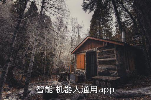 智能 機(jī)器人通用app