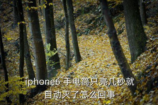 iphone手電筒自動(dòng)關(guān)閉,如何使用手電筒?